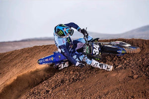Dylan Ferrandis 2019 SX Champion Replica Front Number Plate